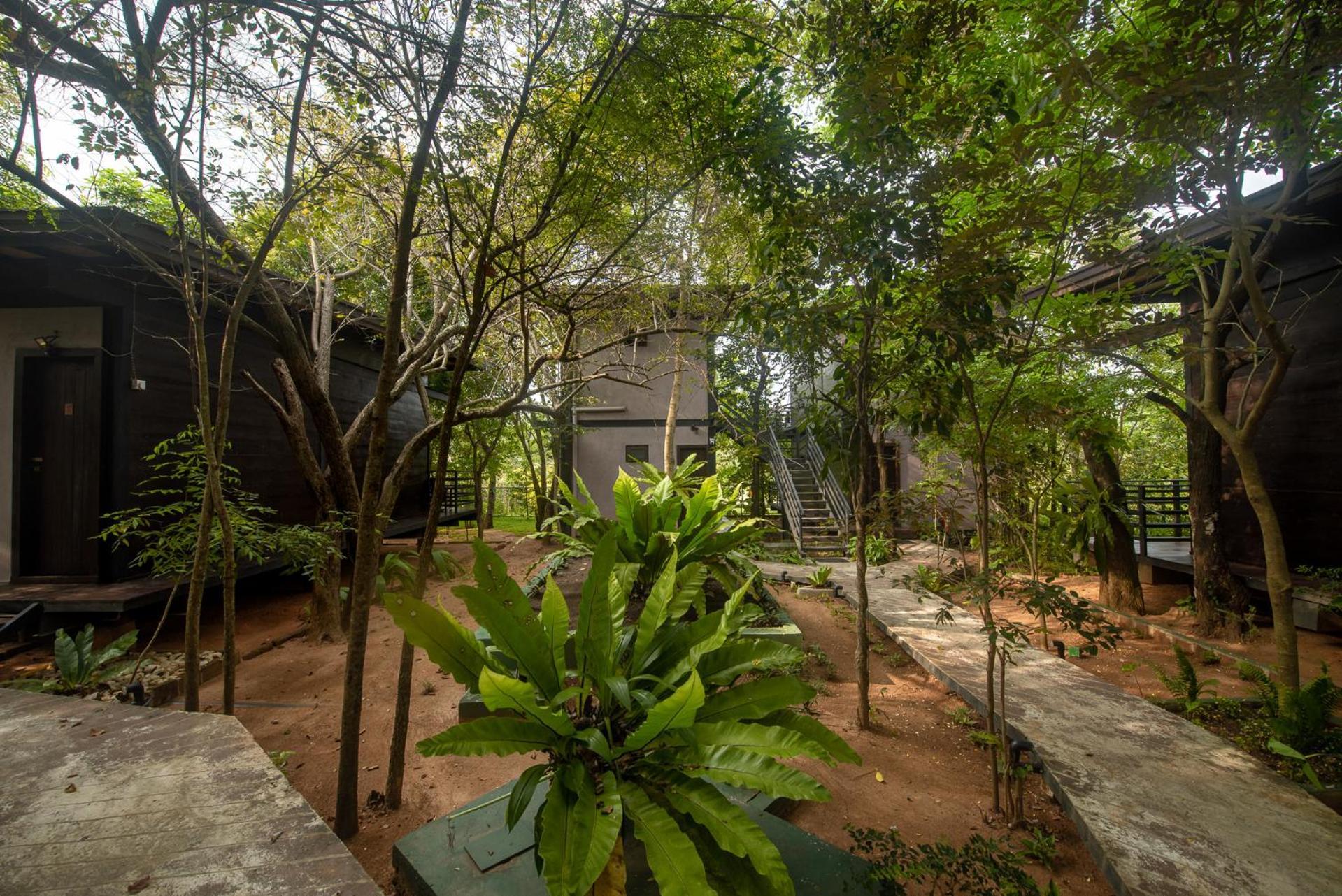 Atha Resort Sigirîya Extérieur photo